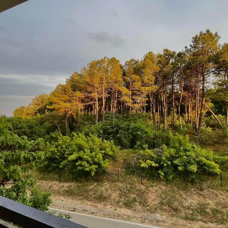 One Bedroom Apartment In G Life Sozopol Exterior photo